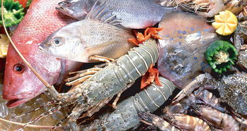 平陽(yáng)人有口福了！8月1日起新鮮海產(chǎn)上市，各類(lèi)海魚(yú)豐富餐桌