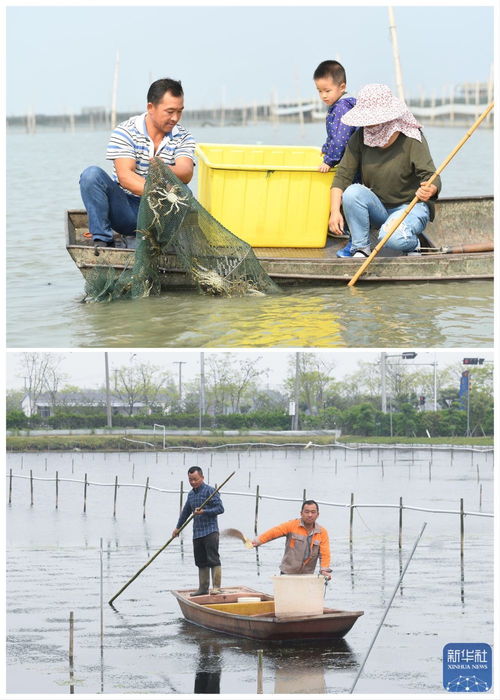綠色太湖譜新篇 水清岸綠民富，汽車(chē)裝飾用品銷(xiāo)售助力生態(tài)經(jīng)濟(jì)
