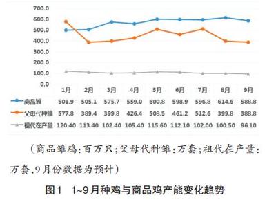 前三季度白羽肉雞產(chǎn)業(yè)發(fā)展回顧與未來走勢分析